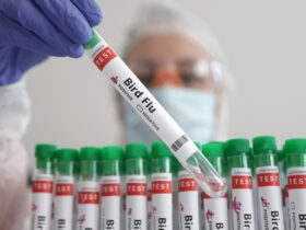 First Human Case of H5N1 Bird Flu in US